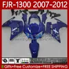 OEM-Verkleidungen für Yamaha FJR-1300 FJR 1300 A CC FJR1300 07 08 09 10 11 12 Moto Body 108Nr