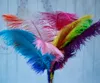 Décorations de mariage belles plumes pour bricolage carte d'artisanat de mariée décorer la décoration des plumes d'autruche