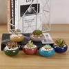 Nieuwe schattige ijs-crack glazuur 8 kleur bloem keramiek sappige planter mini pot tuin bloempot voor thuis kantoor decor plant pot