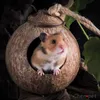 Małe Dostawy Zwierząt Naturalne Zwierząt Kokosowe Klatki Klatka Dla Chomiku Gwinea Świnia Myszy Wiewiórka Drewniany Dom Szczur gryzoni gniazdo