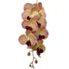 4P Latex Butterfly Orchid Flores 9 Cabeças Real Touch Boa Qualidade Artificial Phalaenopsis Orchid 40 "Para Casa Decoração Floral 210624