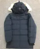 Hommes Down Parka Fusion Fit amovible Coyote Fur Hood Veste Lettre Designer Femmes Toile matelassée Poches zippées Manches côtelées Vêtements d'extérieur chauds