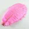 Wedding Decorations Ostrich Feather 8-10 inches Party red blue Pink White 28 Colors Festival Table Backdrops Cake Toppers Home Plume Supplie