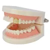 single tooth diamond grill