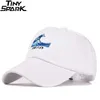 Мужская хип-хоп кепка с вышивкой Great Wave Японский кандзи Harajuku Бейсболки Snapback Dad Caps Женская приталенная шляпа Черный Белый Розовый Q0911