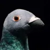 シミュレーションかわいい灰色の鳩のぬいぐるみホワイトロック人形平和S小さな文字鳥モデルキッズギフト2107286853528