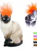 Cat Costumes 2022 Grappige Pet Halloween Hoofdtooien Kleed Hair Hoofddress Dog aan