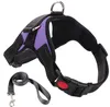 Colliers pour chiens laisses sans tirer harnais ensemble doux respirant réglable harnais gilet sécurité ceinture de sécurité voyage léger pour petit