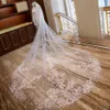 stunning wedding veils