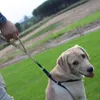 Dog Leash 1000D Nylon Tactical Wojskowy Szkolenie Elastyczne Kołnierze Zwierzątko Multicolor YL975816 Smycze