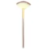 Makeup Brushes 5st Fan Facial Soft Brush Cosmetic Applator Tools for Glycolic Peel Mask Women Girls2202833