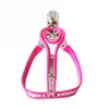Dispositivo de castidade rosa masculino modelo de aço inoxidável-t curva ajustável cinto com gaiola de pau bdsm brinquedos sexuais para homens