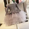 Sequin Flower Girl Tutu Jurk 2022 Volledige Mouwen Rode Grijze Prinses Baby Meisjes Pageantjurken Knielengte Boog Puffy First Communion Verjaardag Formele Party Draag