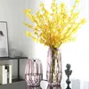 Nordic large glass transparent hydroponic plant rich bamboo rose flower vase European style living room decoration