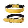 Collari per cani con fibbia ad ardiglione in oro con fibbie regolabili Collari per cani in pelle alla moda Decorazione per il collo Accessori per animali domestici