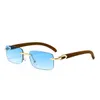 Luxe Designer Mens Dames Zonnebril Kleine Vierkante Hars Lens Multi-Color Ridless Zonnebril JC207