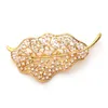 Varol Unique Leaf Shape Custom Gold Plated Brosch Crystal Women Rhinestones Tillbehör Smycken Pearl Brosch Julklapp