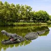 Tuin decoraties hars simulatie drijvende krokodil hoofd dier beeldjes kunstbranden voor vijver park kunst standbeelden