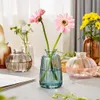 Nordic Home Decoration Glass Vase Small Living Room Decor Home Decor Modern Transparent Hydroponic Mini Flowers for Decoration 210310