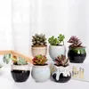 6st creative keramik succulent växtblomma kruk variabel flöde glasyr för hemrum kontor fröer planta växtkruka utan växt 210615