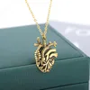 Pendant Necklaces Anatomical Heart Necklace For Women Men Minimalist Stainless Steel Gold Chain Organ Vintage Memorial Jewerly