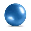 Oefening Bal voor Fitness Stabiliteit Yoga Workout Guide Quick Pump Design 54DE