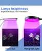 5V USB Phyto Lampor LED Full Spectrum Light Plant Växtlampa Fitolamp för plantor Flower Fitolampy Grow Tent Box