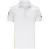 S-5XL F1 Formel One Racing Suit Wear Short-Sleeved T-shirts Team Suit 2021 F1 Tröja Sport Fritid Round Neck Snabbtorkande T-shirt Top Lapel Sets