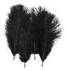 2021 new wholesale 100pcs/lot 5-8inch Black Ostrich Feather for wedding table centerpiece wedding decor party event supply