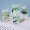 Craft Tools Storage Bottle Silicone Mould Sealed Jar With Lid Planter Pot Resin Epoxy Casting Mold Household DIY Crystal Molds