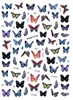 Naklejki naklejki 2022 3D Paznokcie Art Bohemia Coroful Butterfly w stylu paznokcie do dekoracji naklejek Manicure Z0346 Prud22