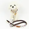 Echtleder-Halsband-Leine-Set, hochwertiges Design, 7-Farben-Muster, kleiner und mittelgroßer Hund, Teddy, Chihuahua, französische Bulldogge, Heimtierbedarf