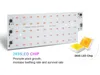 LED Grow Lights 50W 100W Full Spectrum Light med EU-kontakt 1.5m Switch AC180-245V Phyto Lamp IP65 Vattentät