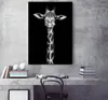 Nordic Modern Dekoratif Resim Sergisi Karikatür Hayvan Zürafa Fil At Oturma Odası Ev Asılı Boyama Çekirdek
