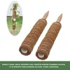 2Pc Plant Climbing Coconut Totem Rod Connectable Scindapsus Stick Gardening Pillar With 10 Label 100 Vine Ropes Garden Decorations