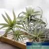 Dekorativa blommor kransar 4pack konstgjorda ananasgräs luftväxter falska faux flocking tillandsia bromeliader hem trädgård deco3630513