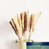 자연 말린 팜파스 잔디 핑크 / 화이트 / 노란색 꼬리 잔디 건조 꽃다발 phragmites 웨딩 꽃 홈 장식용 무리 1