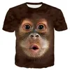 販売のための100人の男性の下の新しい派手なTシャツカスタム販売の動物3D印刷モンキーフェイスデジタルプリントメンズTシャツ