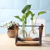 Glas och trä vase planter terrarium bord skrivbord hydroponics växt bonsai blomma kruk hängande krukor med träbricka heminredning 210615