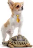 56 accesorios para mascotas de color colorido corbata de cachorro de mascotas Corbidas de gato Suministros para perros para ropa pequeña3801111