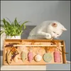Katbenodigdheden Home Gardencat Speelgoed 7 stks Pet Scratcher Set Teaser Rod met Feather Interactive Mouse Toy Kitten Linnen Slijpklauw Aesories