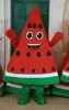 Halloween lovely Watermelon Mascot Costume Cartoon fruit Anime theme character Christmas Carnival Party Fancy Costumes Adults Size Birthday Outdoor Outfit