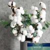 Branches de fleurs d'eucalyptus à feuilles vertes artificielles, 62cm, fleurs en coton séchées, décoration pour mariage, maison, décor de fleurs en pot pour Table