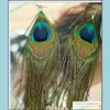 Dingle ljuskronorörhängen smycken 2021 retro nationell stil lyx påfågel fjäder färg vild mode trend droppleverans ukftl