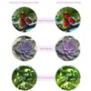 LED crescer luz USB Phyto lâmpada de espectro completo Fitolampy com controle para plantas plântulas flor indoor fitolamp cresce caixa de barraca