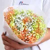 Natural Dried Flowers Gypsophila Bouquets DIY Easter Wreath Pography Prop Home Table Decoration Gift Wedding Flower Wholesale