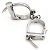 NXY Adult Toys Horseshoe Stainless Steel Handcuffs Ankle Cuff Metal Wrist Cuffs Restraints Fetish Slave Manacle Bondage BDSM Sex Toy for Couple 1201