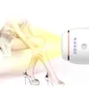 Strumento di depilazione laser permanente portatile 500000 flash Depilatore laser MINI IPL Macchina per depilazione uso domestico depilazione del corpo