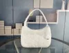 Designer all'ingrosso 27 cm Lana Hobo Bag Borsa pelosa Accessori classici Accessori di Prestigio Tessuto PR Mini Borsa a tracolla Borsa a tracolla Più alta qualità Vieni con scatola