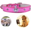 Collare per cani in pelle di moda Accessori con borchie di cristallo Ciondolo a corona con diamanti per collare Tracolla per piccoli animali domestici X07038220642